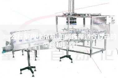 500公斤室內(nèi)小吊機(jī)(如何選擇適合自己的型號(hào)和品牌)