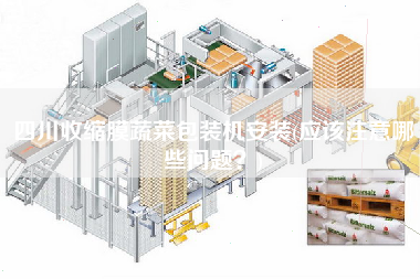 四川收縮膜蔬菜包裝機(jī)安裝(應(yīng)該注意哪些問題？)